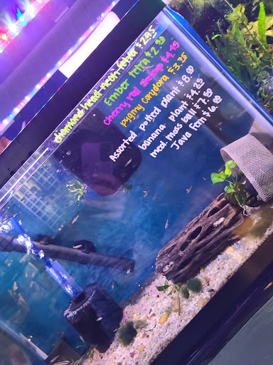 Pet Store «All About Pets LLC», reviews and photos, 52567 Columbia River Hwy, Scappoose, OR 97056, USA