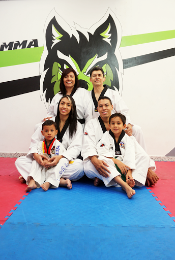 Clases de taekwondo en Medellin