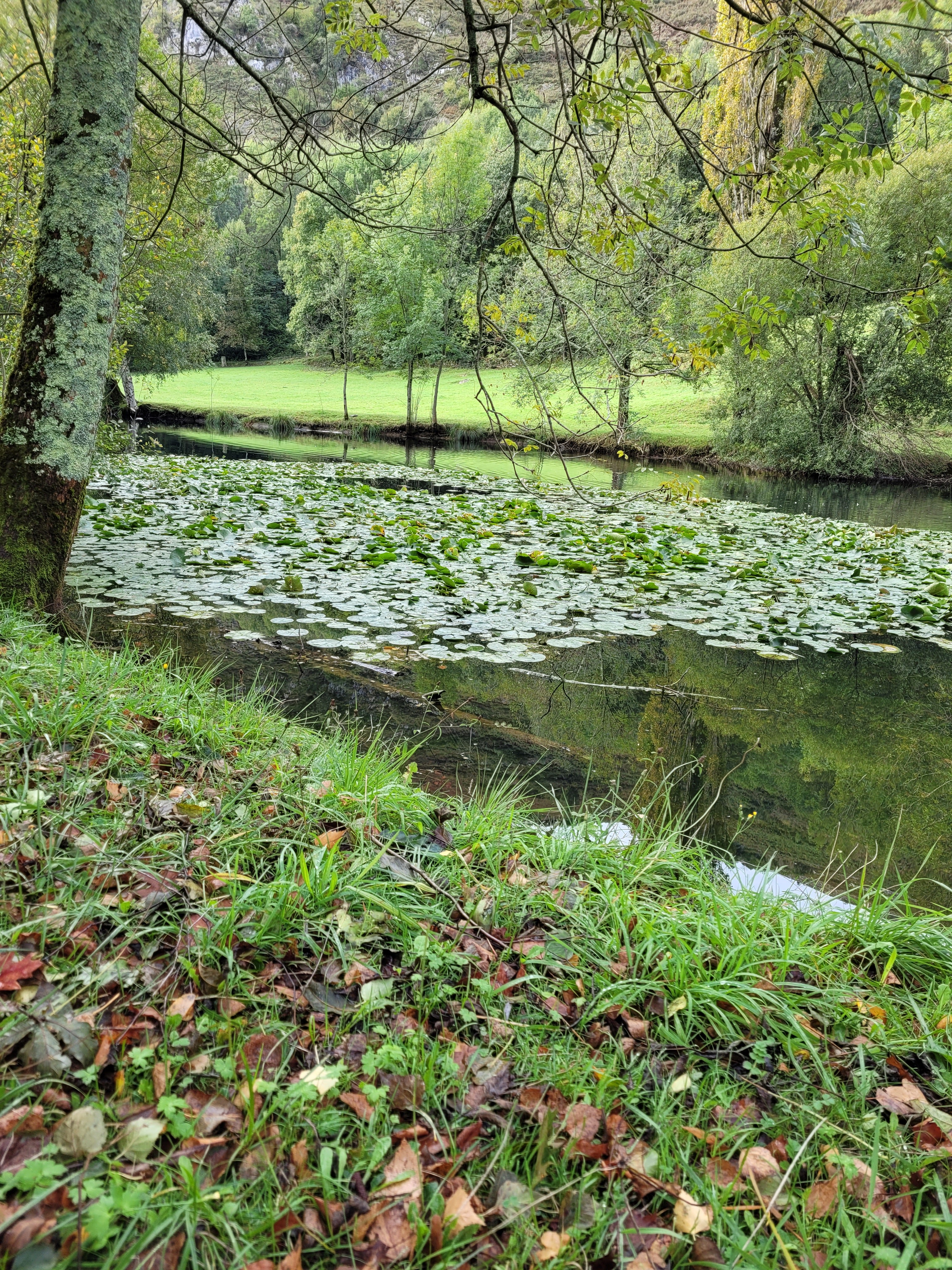 Photo n° 2 de l'avis de Myriam. fait le 19/10/2021 à 06:01