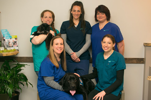 Coastal Virginia Veterinary Dermatology