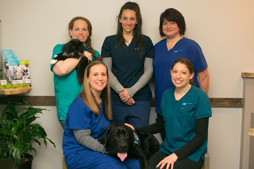 Coastal Virginia Veterinary Dermatology veterinary clinic