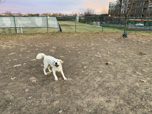 Park «Eugene Simpson Stadium Park», reviews and photos, 426 E Monroe Ave, Alexandria, VA 22301, USA