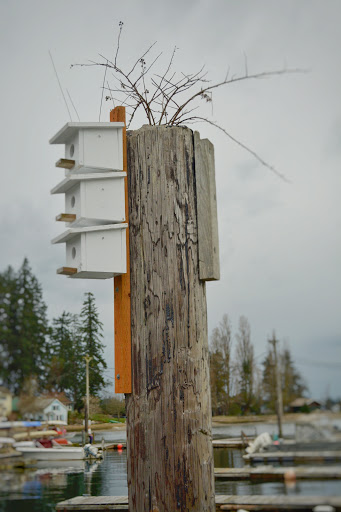 Marina «Boston Harbor Marina», reviews and photos, 312 73rd Ave NE, Olympia, WA 98506, USA