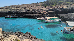Platja de Cala Estreta'in fotoğrafı vahşi alan