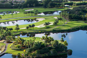 The Falls Club of the Palm Beaches image