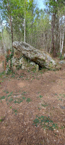 Dolmen de la Pierre couverte à Vaas