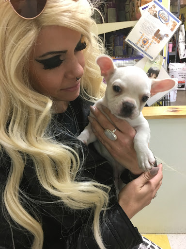 Pet Store «Yuppy Puppy Pet Shop», reviews and photos, 292 Frantz Rd, Stroudsburg, PA 18360, USA