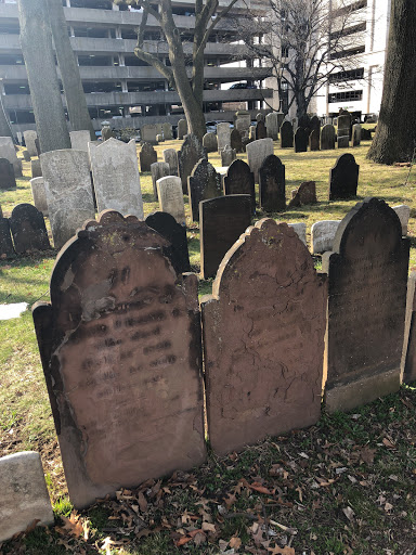 Dollar Store «Dollar Tree», reviews and photos, 1111 S Orange Ave, Newark, NJ 07106, USA