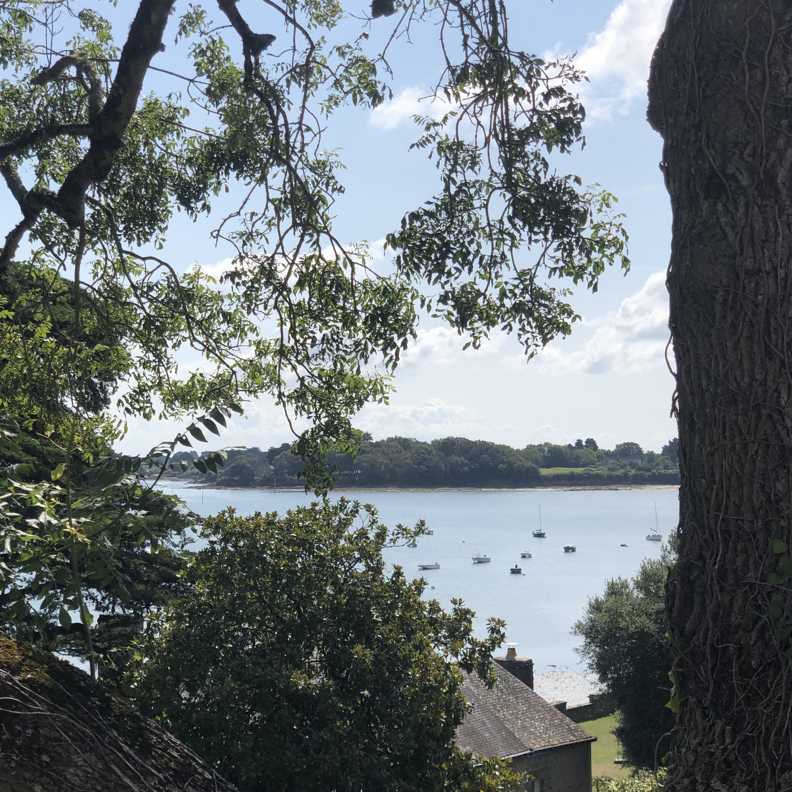 Photo n° 1 de l'avis de Victoria.� fait le 28/08/2023 à 15:23