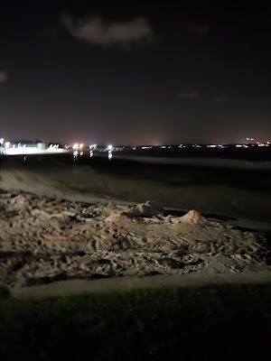 Gulfport Skatepark - photo 3