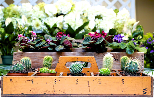 Florist «Stamford Florist», reviews and photos, 625 Bedford St, Stamford, CT 06901, USA