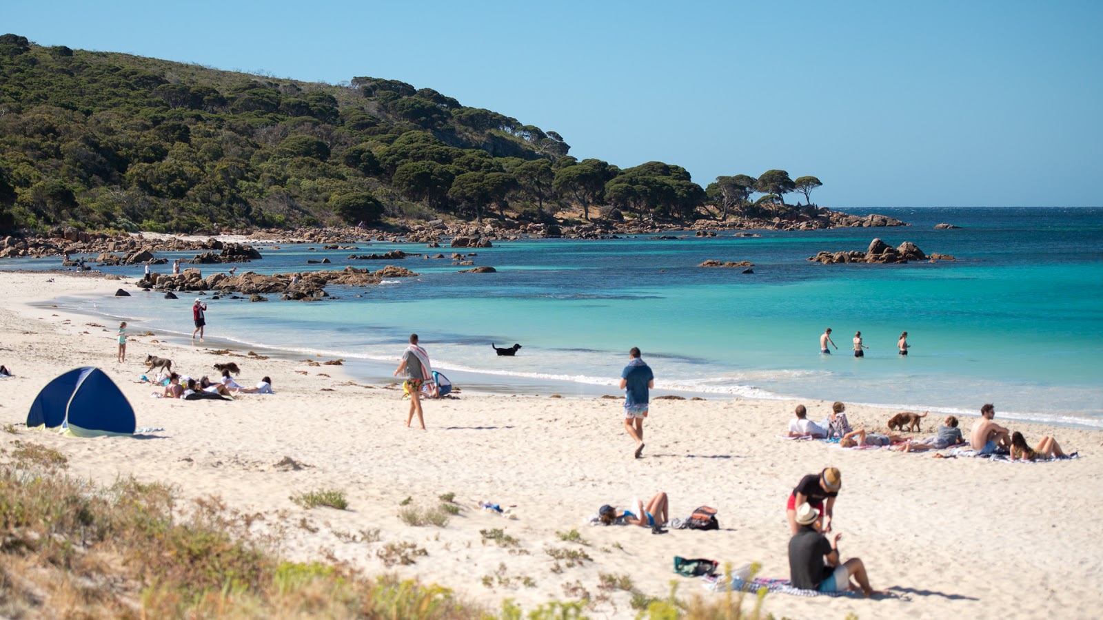 Foto von Bunker Bay Beach annehmlichkeitenbereich