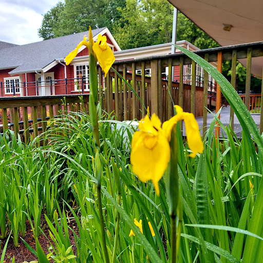 Conference Center «Des Moines Beach Park Auditorium», reviews and photos, 22030 Cliff Ave S, Des Moines, WA 98198, USA