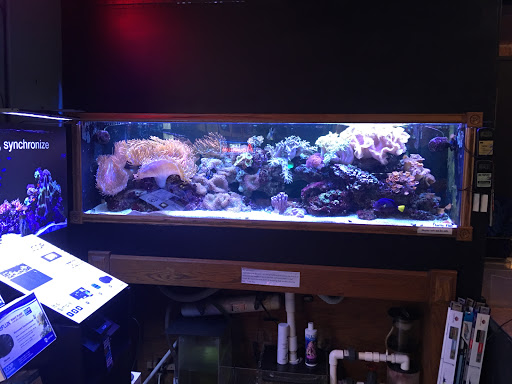 Aquarium «Aquarium In Old Town Inc», reviews and photos, 1001 E Douglas Ave, Wichita, KS 67211, USA