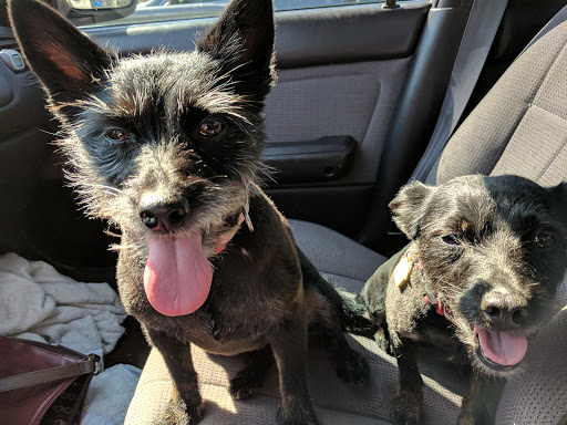 Pet Supply Store «PetSmart», reviews and photos, 6622 Charlotte Pike Suite 108, Nashville, TN 37209, USA