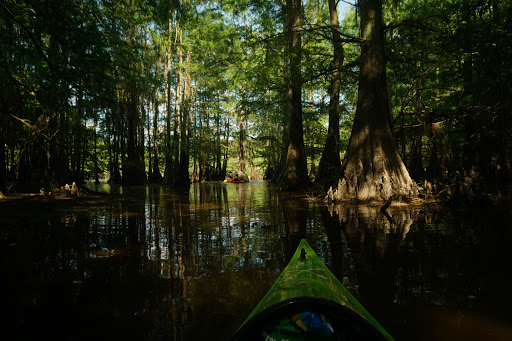 Park «Leake County Water Park», reviews and photos, 1190 Park Rd, Lena, MS 39094, USA