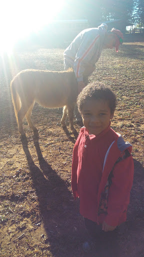 Event Venue «Crooked Pines Farm», reviews and photos, 355 Harmony Rd, Eatonton, GA 31024, USA