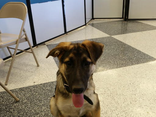 Pet Supply Store «Petco Animal Supplies», reviews and photos, 1835 E Guadalupe Rd #112, Tempe, AZ 85283, USA