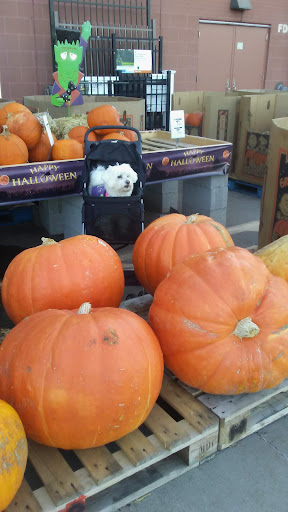 Home Improvement Store «The Home Depot», reviews and photos, 90 Monroe Turnpike, Trumbull, CT 06611, USA