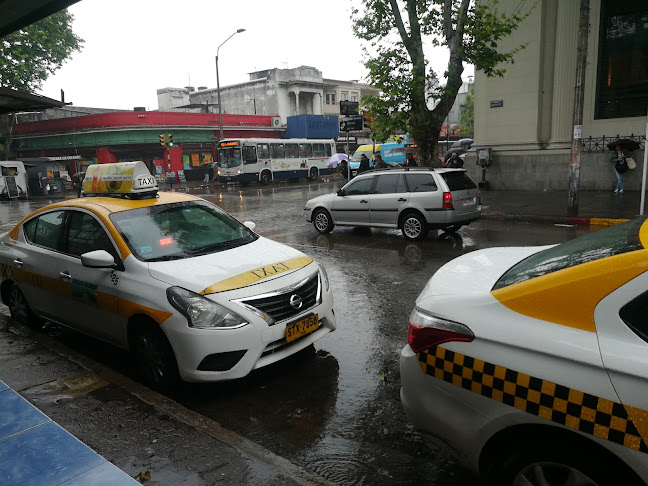 Opiniones de Parada De Taxis Larravide en San Carlos - Servicio de taxis