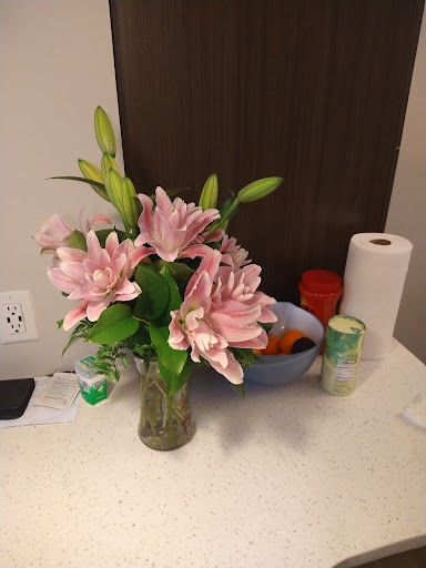 Florist «Chantilly Flowers», reviews and photos, 14514 Lee Rd E, Chantilly, VA 20151, USA