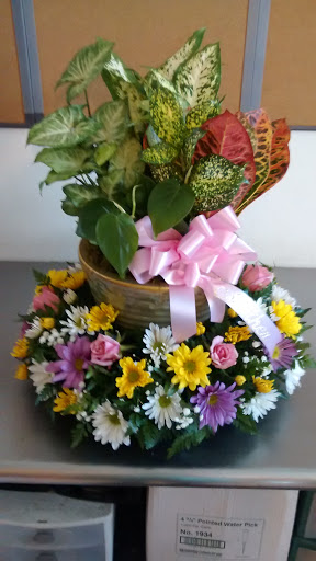 Florist «Flowers Today Florist», reviews and photos, 5106 Trouble Creek Rd, New Port Richey, FL 34652, USA