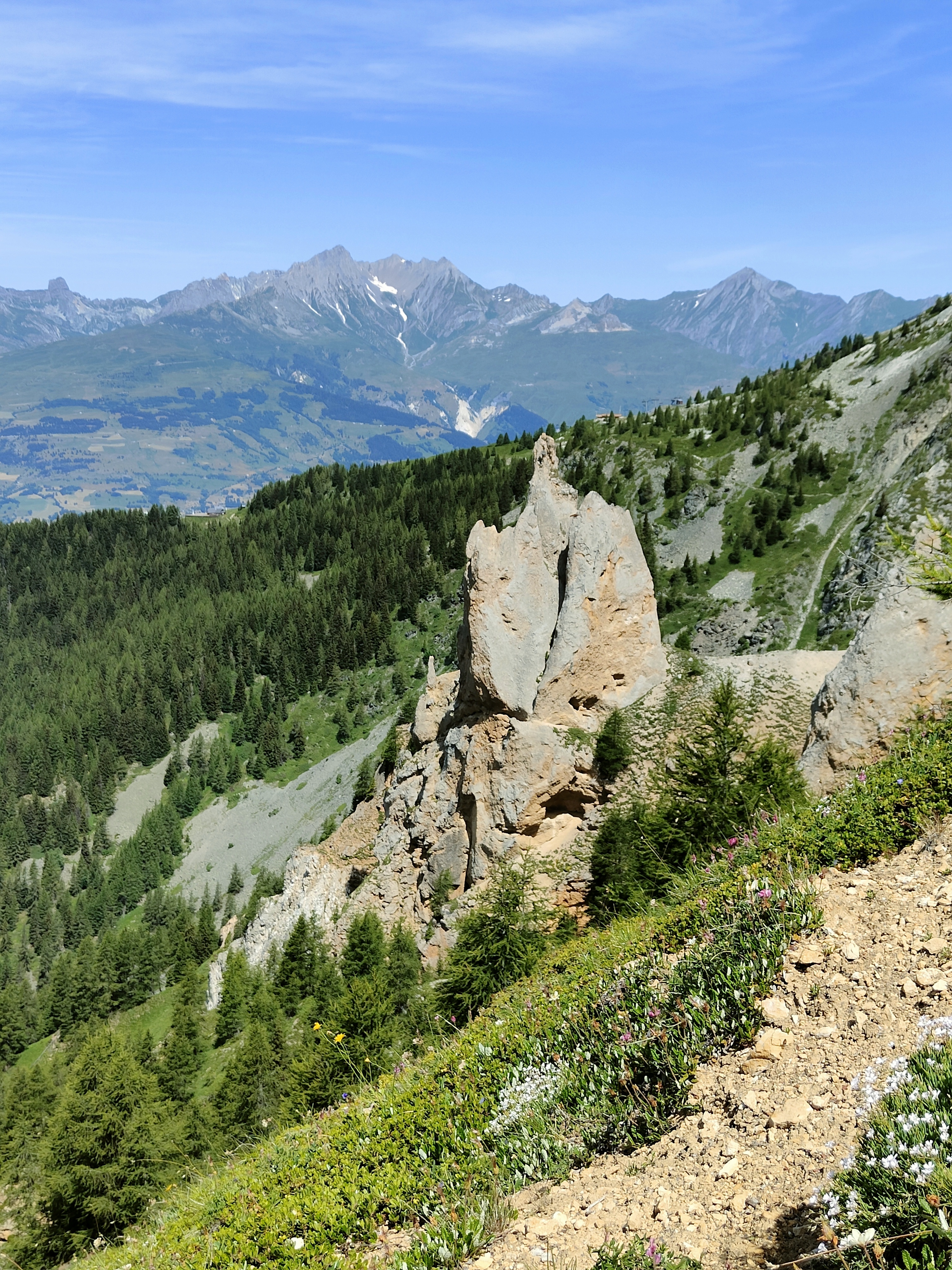 Photo n° 9 de l'avis de Vero.e fait le 16/07/2023 à 20:23