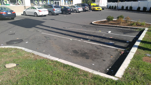 Dollar Store «Dollar Tree», reviews and photos, 383 Allen St, Springfield, MA 01118, USA