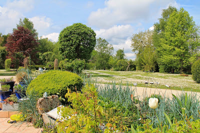 le buisson de la gariole à Aubigny-sur-Nère