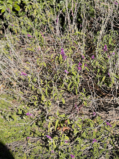 Hidden Valley Trail Aviara East Access