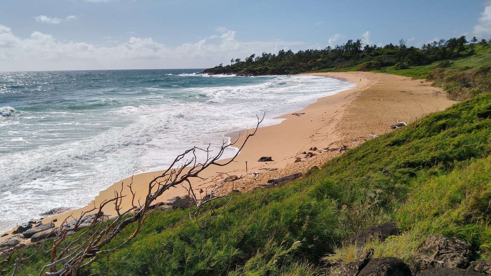 Foto van Paliku Beach met ruim strand