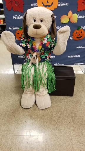 Pet Supply Store «PetSmart», reviews and photos, 1196 W Olive Ave, Merced, CA 95348, USA