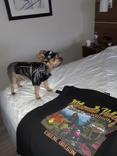 Harley-Davidson Dealer «Latus Motors Harley-Davidson of Eugene», reviews and photos, 86441 College View Rd, Eugene, OR 97405, USA