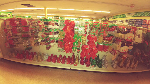 Dollar Store «Dollar Tree», reviews and photos, 150 Columbus Blvd, New Britain, CT 06051, USA