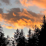 Photo n°6 de l'avis de Rolf.e fait le 19/09/2021 à 09:27 sur le  San Luis retreat hotel & lodges à Hafling