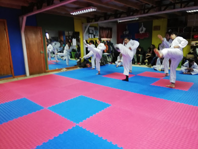 Taekwondo Cobras Quellón - Gimnasio