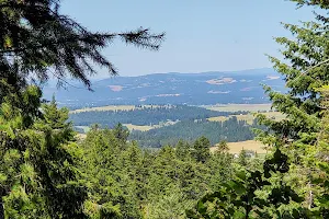 Antoine Peak Conservation Area image
