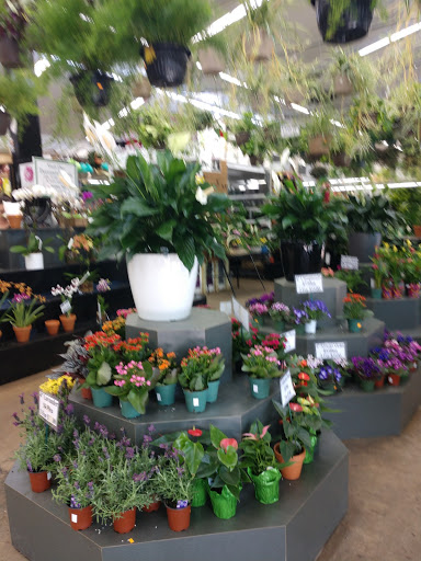 Florist «Metropolitan Plant & Flower», reviews and photos, 840 NJ-17, Paramus, NJ 07652, USA