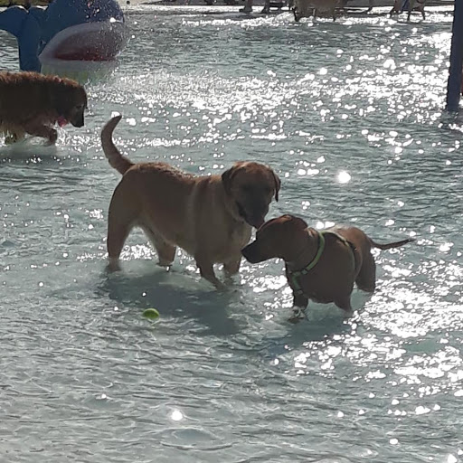 Water Park «Splash Adventure Water Park», reviews and photos, Quiet