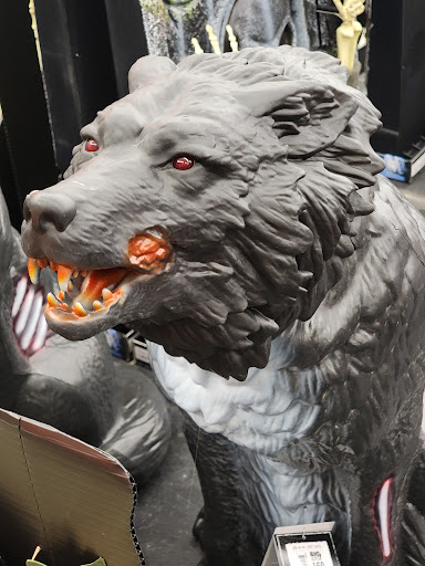 Discount Store «Big Lots», reviews and photos, 924 N Main St, Suffolk, VA 23434, USA