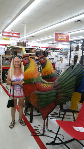 Home Improvement Store «Tractor Supply Co.», reviews and photos, 389 Comfort Dr, Harrison, OH 45030, USA
