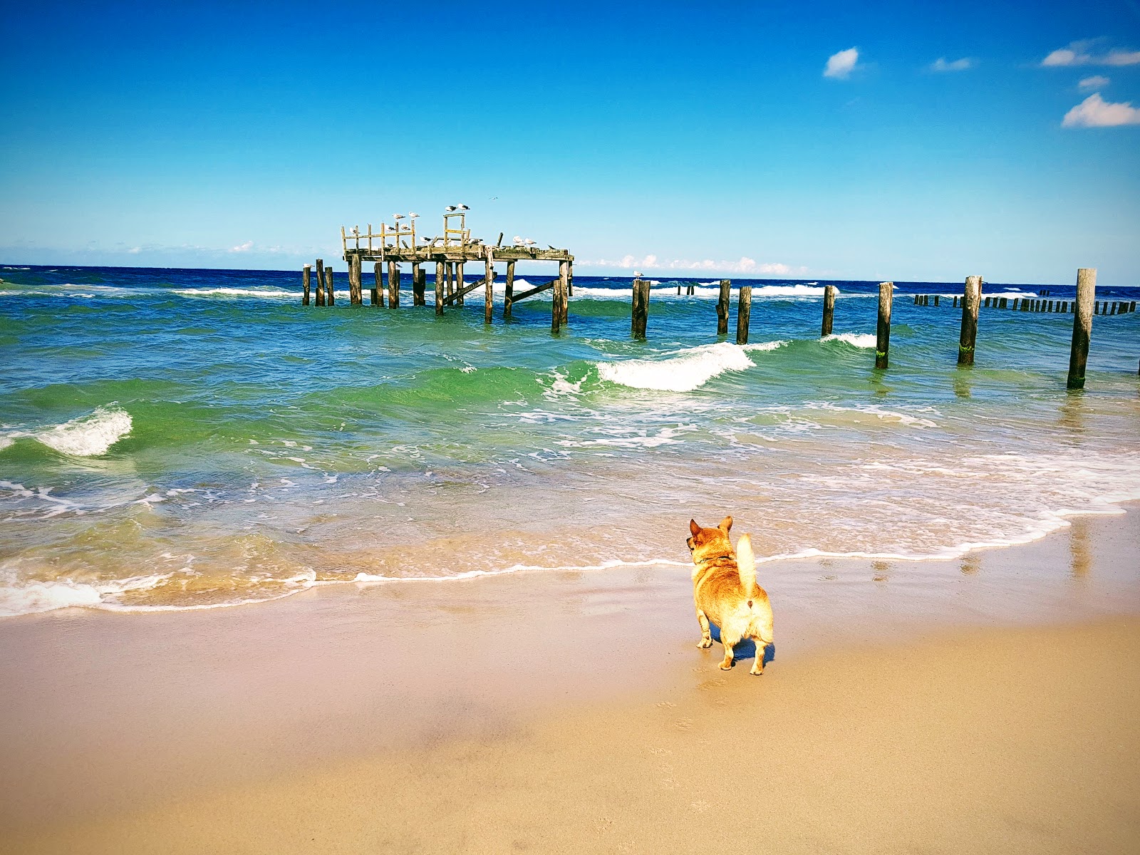 Foto de Bez barier Beach área de comodidades