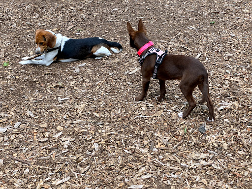 Park «Medway Dog Park», reviews and photos, 298 Village St, Medway, MA 02053, USA