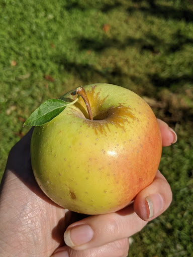 Orchard «Riamede Farm», reviews and photos, 122 Oakdale Rd, Chester, NJ 07930, USA