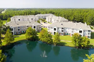 Cypress Lake Apartments image