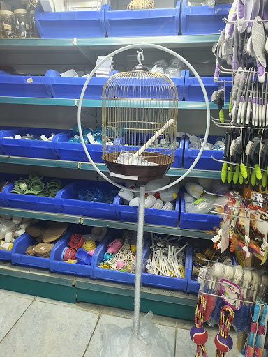 الخرس لأسماك وطيور الزينة والحيوانات الأليفة Alkhars pet store 