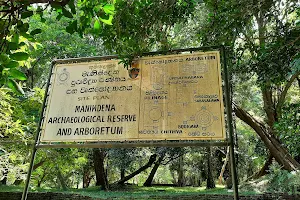 Menikdena Archeological Reserve and Arboretum | මැණික්දෙන පුරාවිද්‍යා රක්ෂිතය සහ වෘක්ෂෝද්‍යානය image