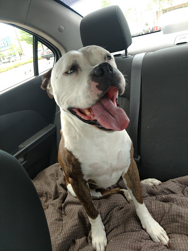 Pet Supply Store «PetSmart», reviews and photos, 3370 Shoppers Dr, McHenry, IL 60050, USA