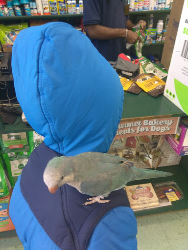 Pet Store «Petland Discounts - Pitkin Avenue», reviews and photos, 1689 Pitkin Ave, Brooklyn, NY 11212, USA