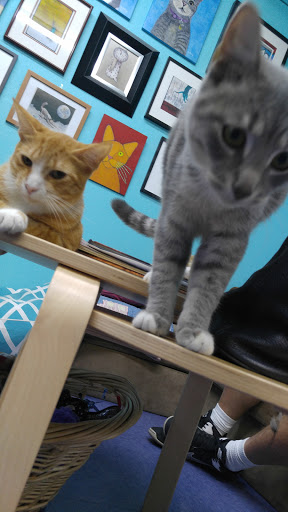 Thrift Store «Boomerangs Thrift Store», reviews and photos, 2365 Wilton Dr, Wilton Manors, FL 33305, USA